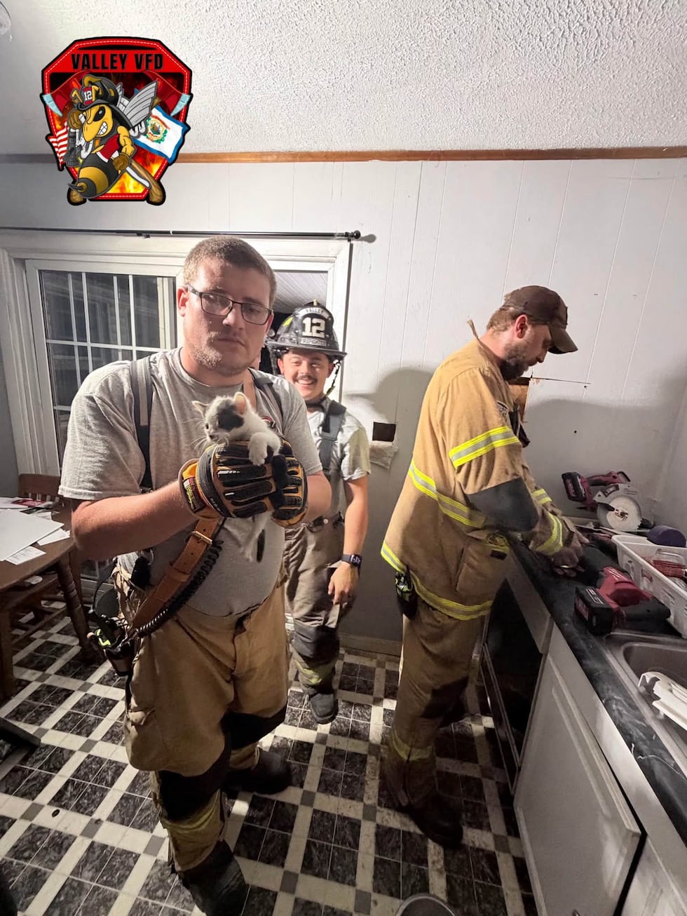 Valley VFD rescued kitten from inside wall, becomes firehouse cat