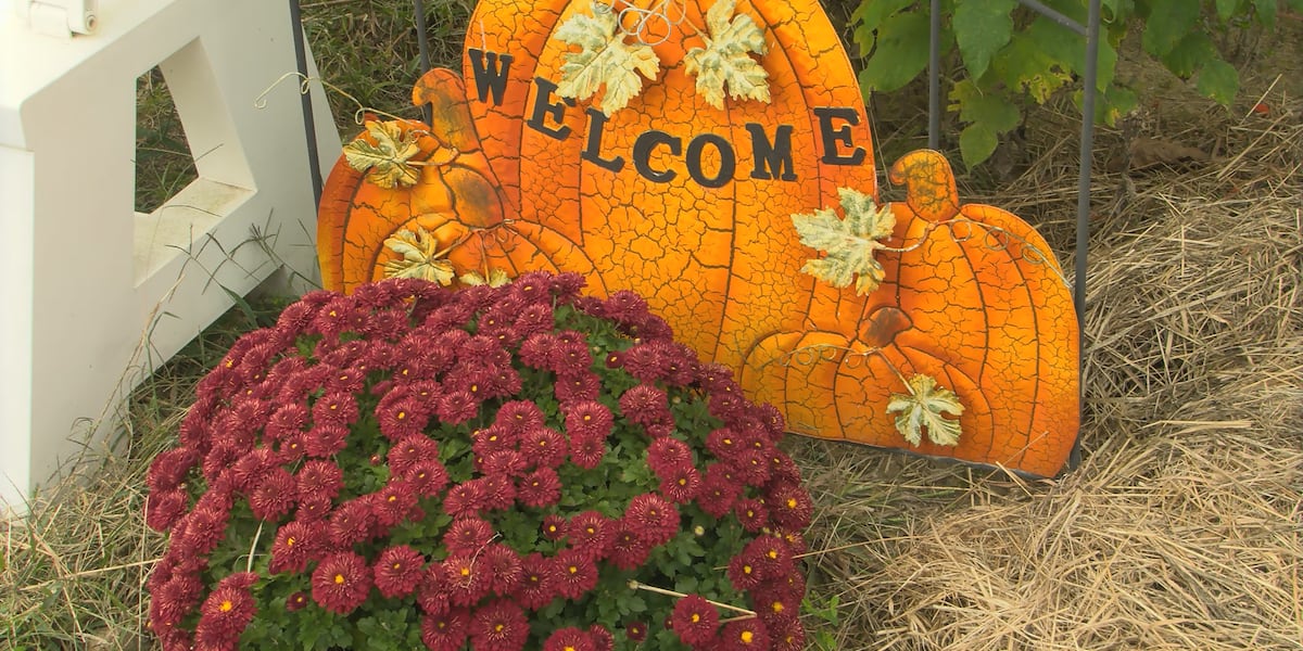 Pumpkin patches surging in West Virginia Pumpkin patches surging in West Virginia