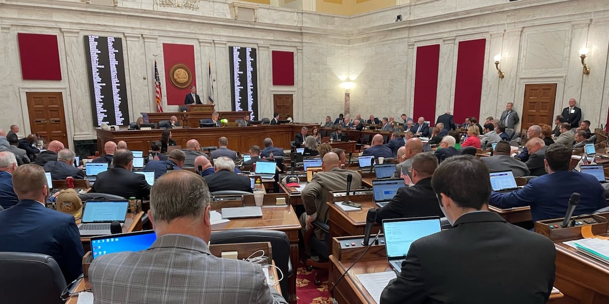 Bill allowing corporal punishment in schools introduced in W.Va. House