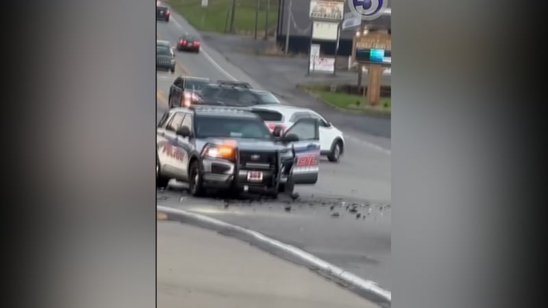 UPDATE: Officer & driver taken to hospital, police K-9 taken to vet after accident involving...