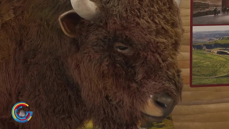 The North Dakota booth at The Great American State Fair has a full-size buffalo on display.