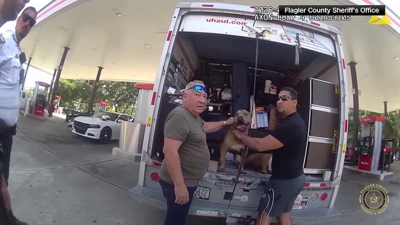 Florida men arrested after deputies said two dogs and two pigeons found suffering in a...